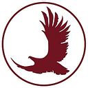 The Eagle Academy Foundation Inc logo