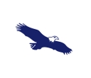 Eagle Financial Services, Inc. logo