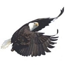 Favicon of Eagle Communications