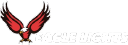 eaglelights.com logo