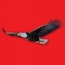 Eagle Ridge Realty logo