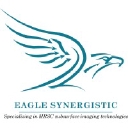 Eagle Synergistic Optimizing Technologies, Llc. logo