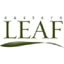 Eastern Leaf logo