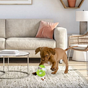 Easy Living Products Inc