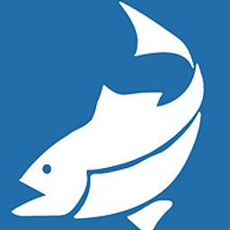 Fishnet logo