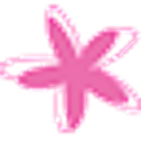 Erin Andra Wilson Foundation logo