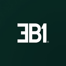 EB1 Payment Services Provider L.L.C (Dubai, UAE) - card programme operated with partner financial institutions