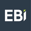Ebi Consulting logo