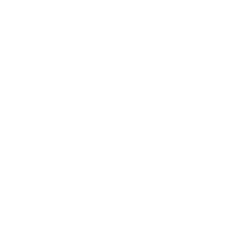 ECC Corporation logo