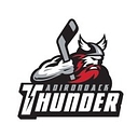 Adirondack Thunder logo