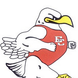 EL CAMPO H S logo