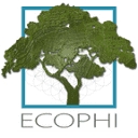 Ecophi Architecture & Bioclimatic Analysis logo