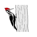 Ecostudies Institute logo