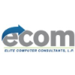Elite Computer Consultants, Incorporated logo