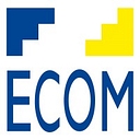 Big Star Ecom logo