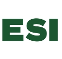 Econsult Solutions logo