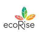 EcoRise Youth Innovations logo