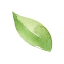 Ecosphere Landscaping logo