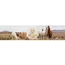 ECUALAMA INC