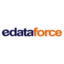 Edataforce Consulting Llc logo