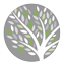 Eden Fyfe Accounts logo