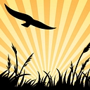 avatar logo