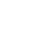 Abdul Sattar Edhi International Foundation Inc logo
