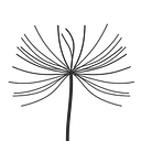 Favicon of Editskin