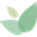 EMISSARIES OF DIVINE LIGHT logo