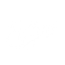 Edlyn Foods P/L logo