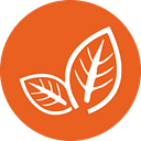 The Edmonton Community Kindergarten Incorporated logo