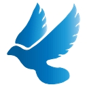 Edni Counseling Services, Llc logo