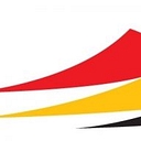 Edson Tiger logo