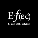 Education Foundation of Eagle Cnty logo