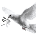 Effective Peacebuilding Initiative logo