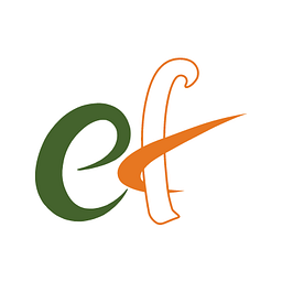 EFICENS SYSTEMS logo