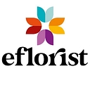 Eflorist IE logo