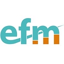 Efm (Financial Expertise For Your Business) logo