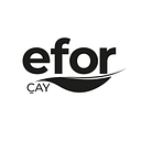 Efor Yatirim Sanayi Ticaret A.S. logo