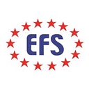EFS Global logo