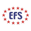 Efs Global logo