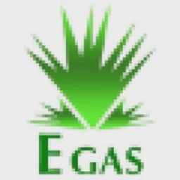 egas.com.eg
