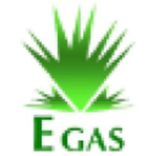 Egyptian Natural Gas Holding logo
