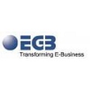 EGB Systems & Solutions Inc logo