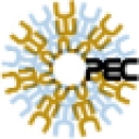 Patricia Egen Consulting logo