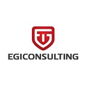 Egi Consulting   A Dallas, Tx Based Mbe Firm logo