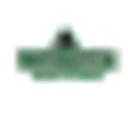 Evergreen Services Inc logo