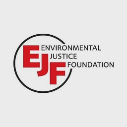 Logo of ejfoundation.org