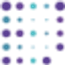 Bernardinum logo