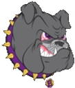Elbert School District 200 logo